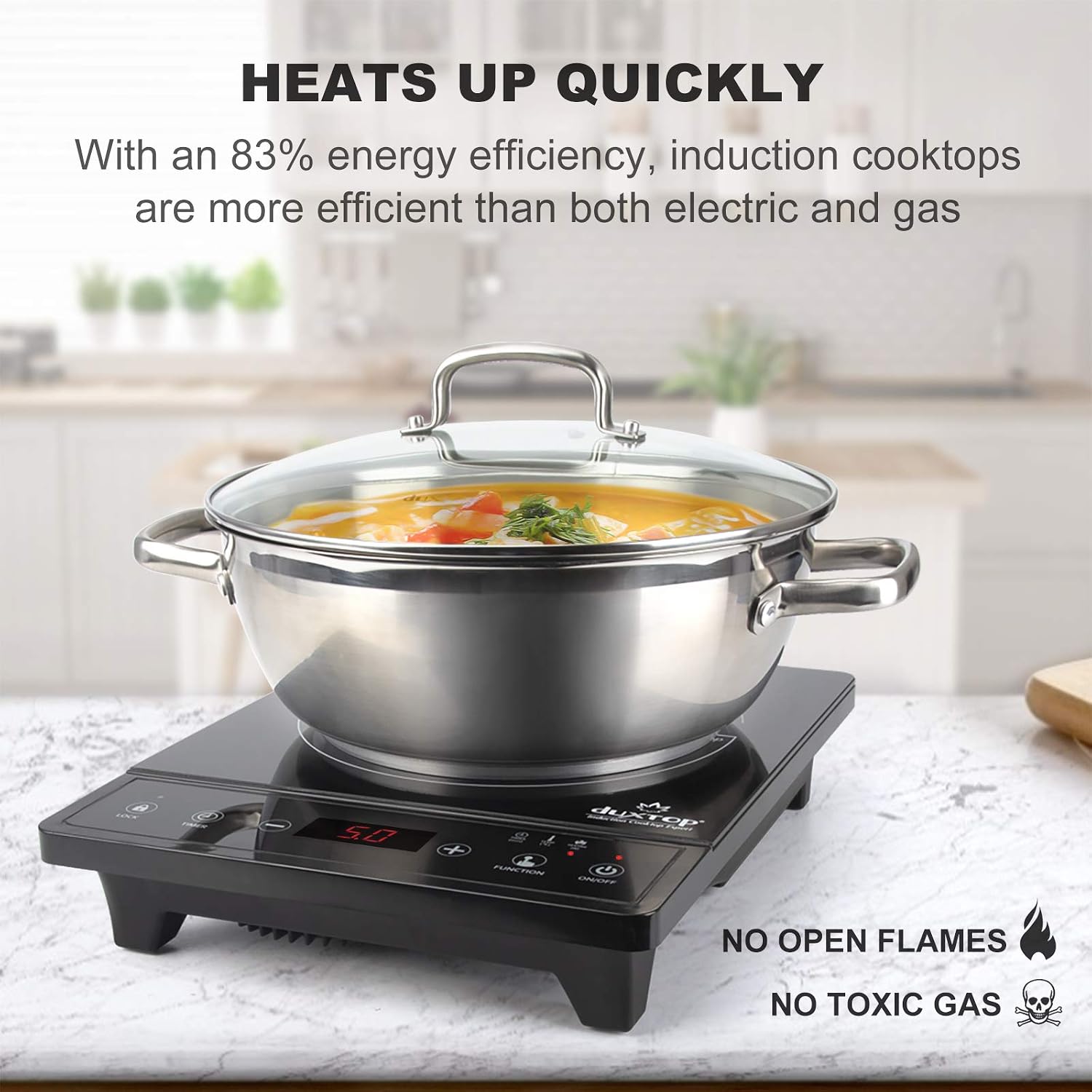 Portable Induction Cooktop, Co - đánh giá và giá Induction Cooktop Portable